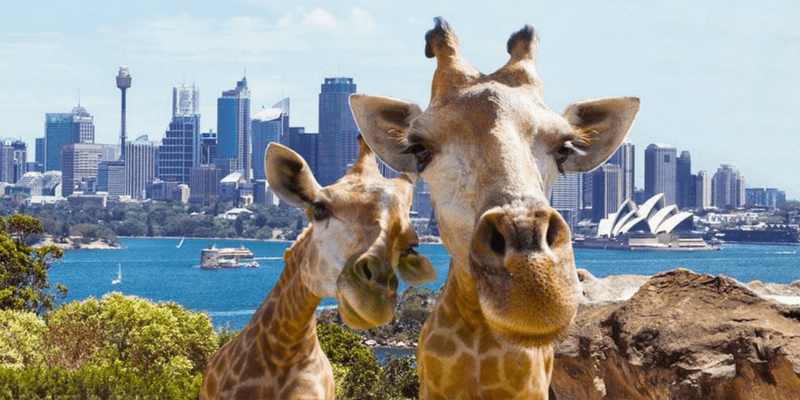 Best Places to visit Sydney