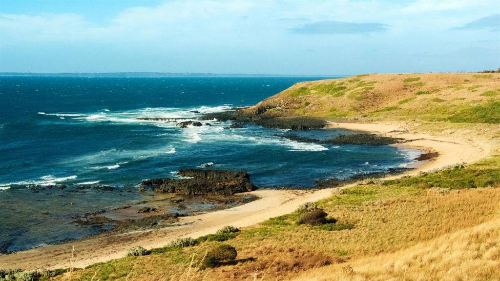 Phillip Island Tour from Melbourne